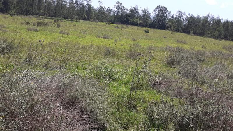 0 Bedroom Property for Sale in Albertinia Western Cape